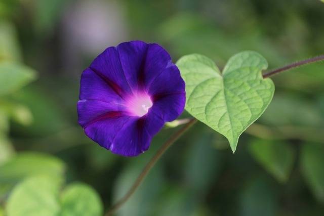 健康的なお休み