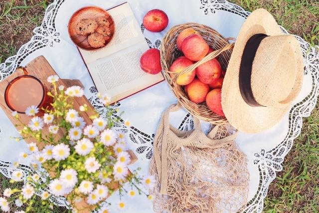 秋のピクニック